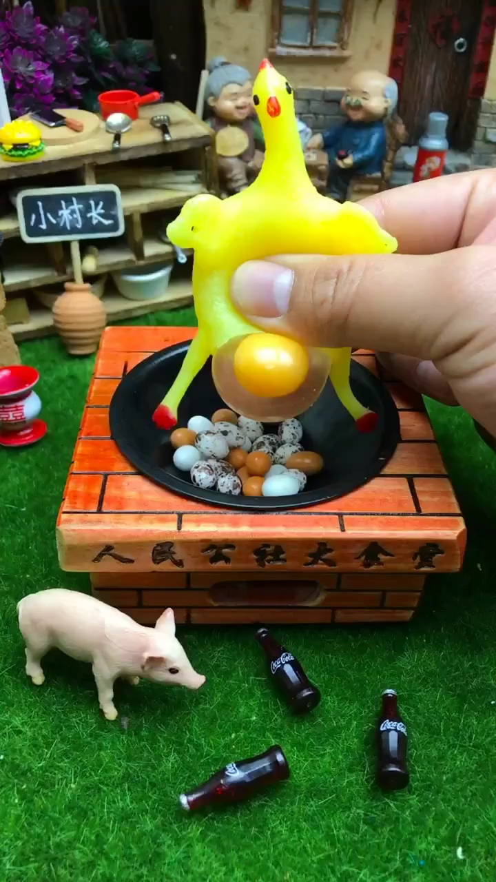 下蛋公鸡.你们见过吗