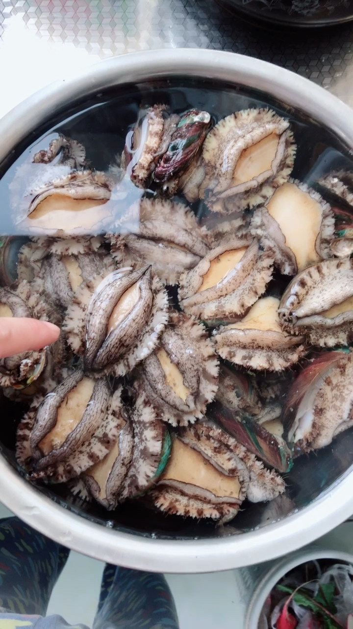 大鲍鱼