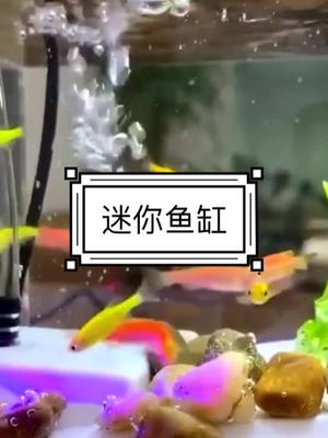 #鱼缸#养鱼 #家用好物 #好物分享 #智能家居