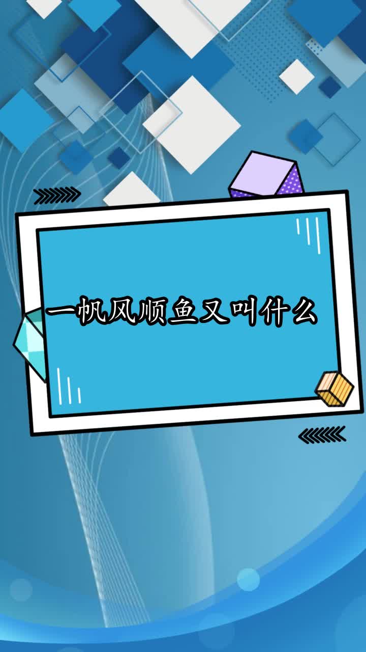 一帆风顺鱼又叫什么,你明白了吗