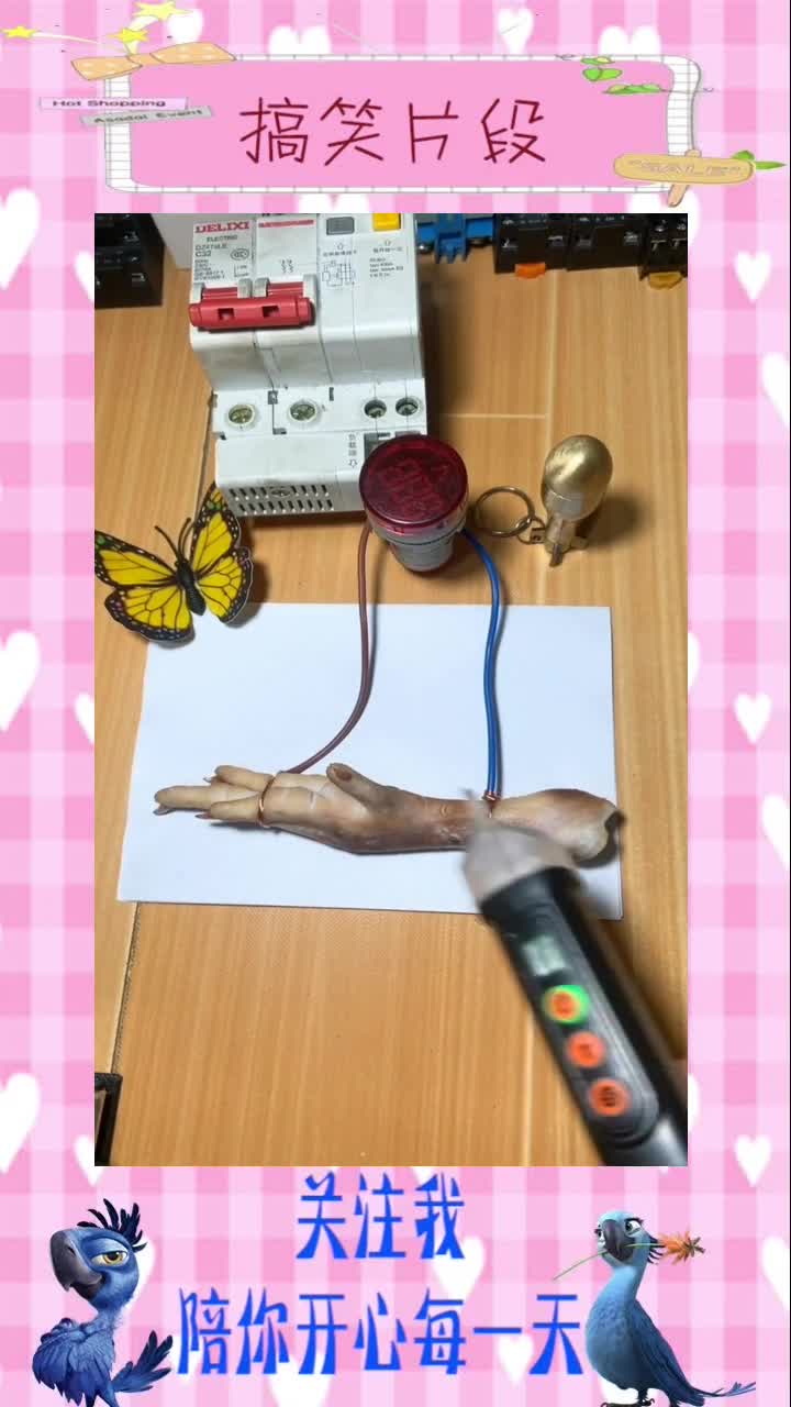 鸡爪合闸瞬间,看看会发生什么#搞笑视频#