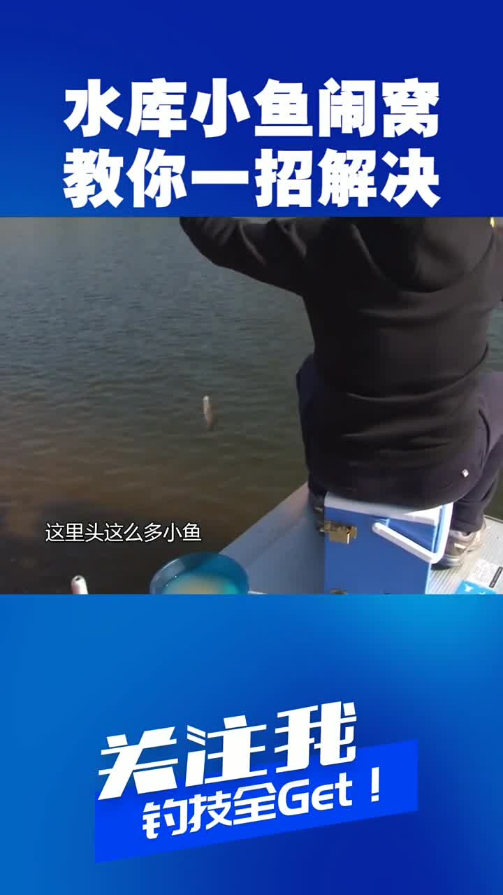 水库小鱼闹窝?教你一招解决