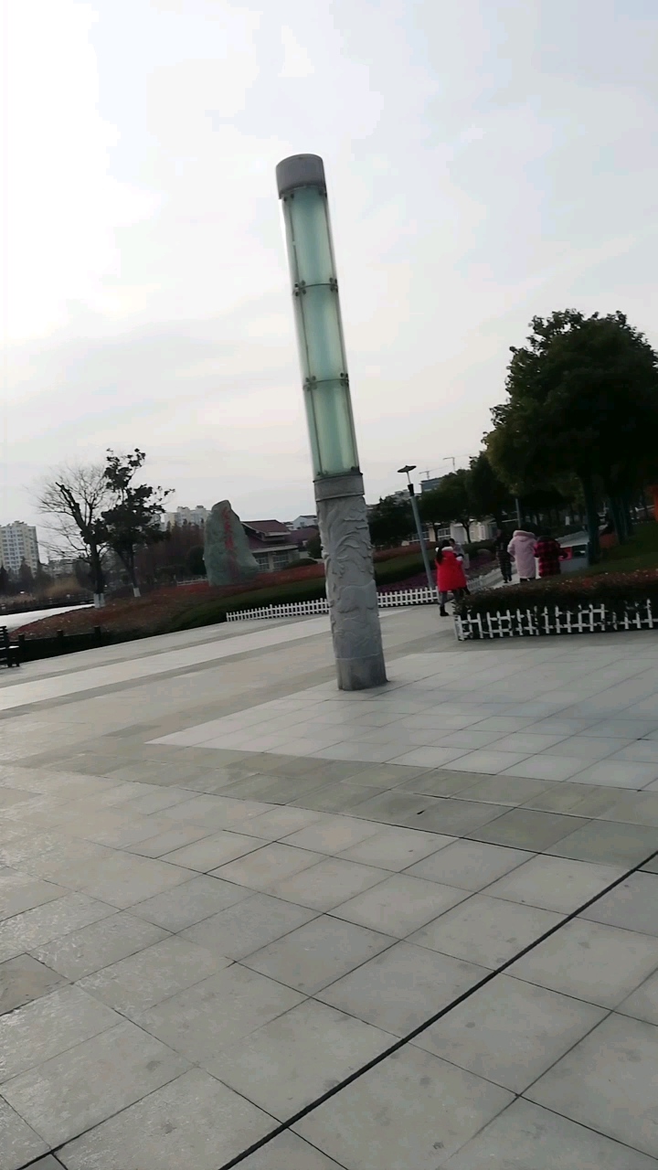 阜宁天鹅湖游玩