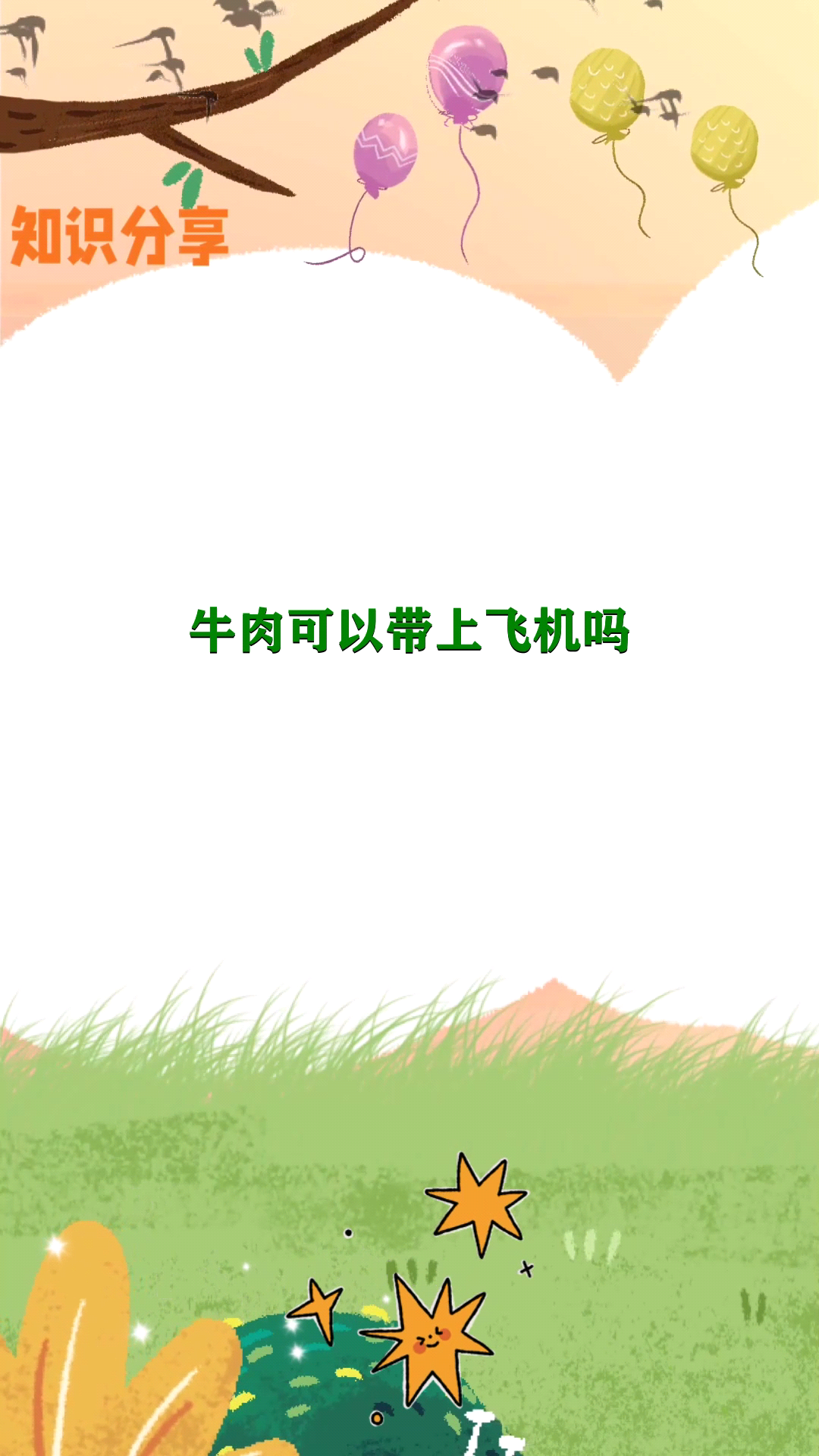 牛肉可以带上飞机吗