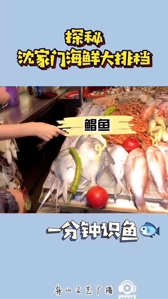 1分钟识鱼,留言说说你认识几种