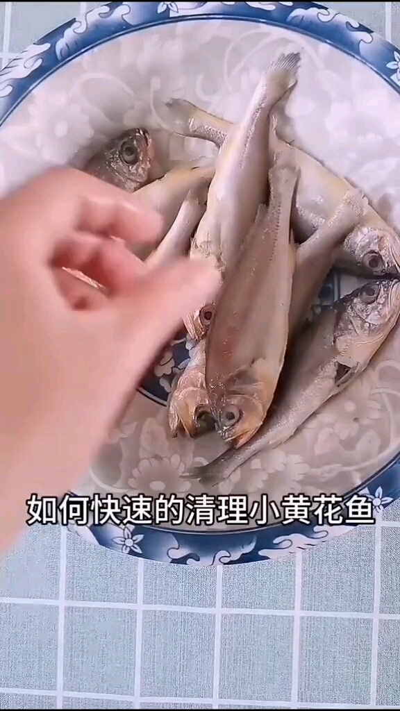 教大家如何速清理黄花鱼特别简单清理的还很干净#生活妙招
