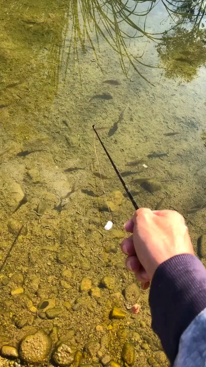 都可以拿来做手机壁纸了