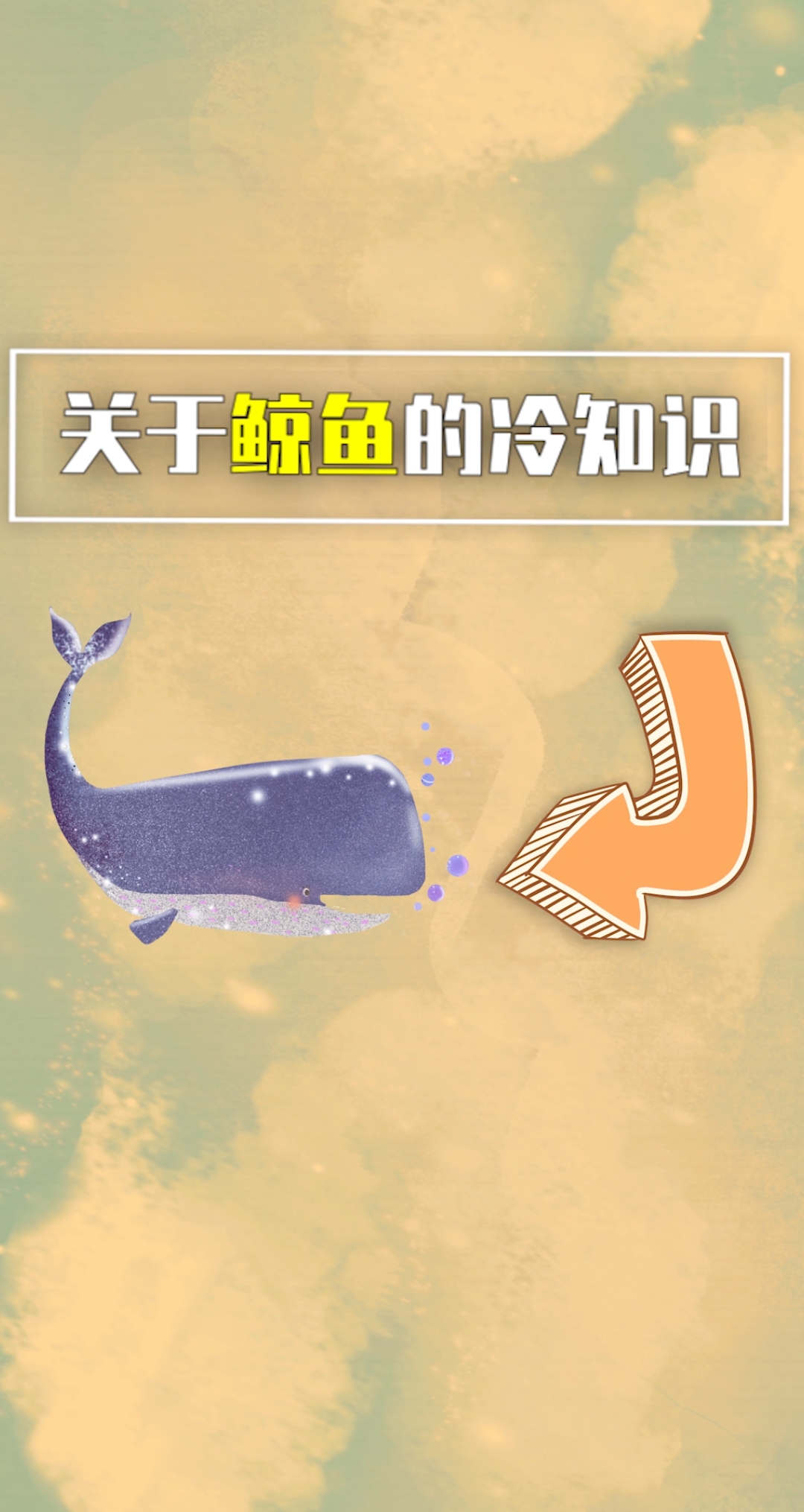 #全民正能量#关于鲸鱼的冷知识