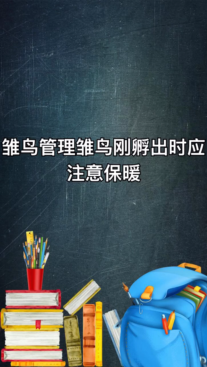 斑鸠幼鸟怎么喂养?