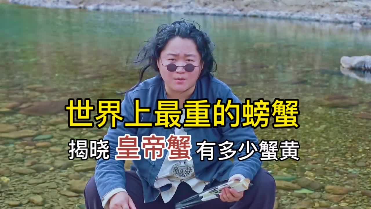 皇蒂蟹还得吃母的,蟹黄多到快要爆开了,吃起来简直是一口一个满足!