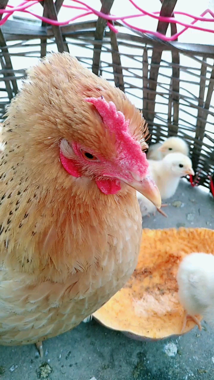 分享视频