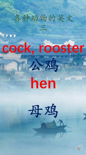 #英语#各种动物的英文三-常见家禽的英文