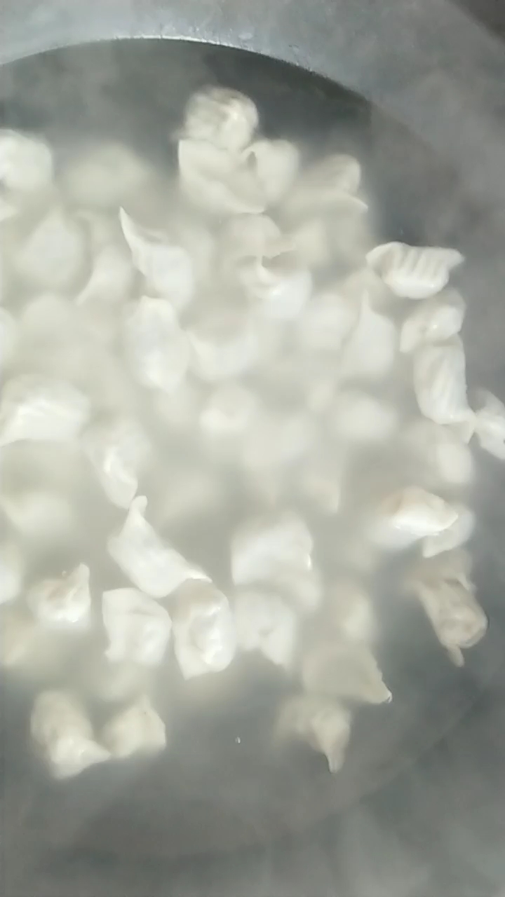 荠荠菜饺子