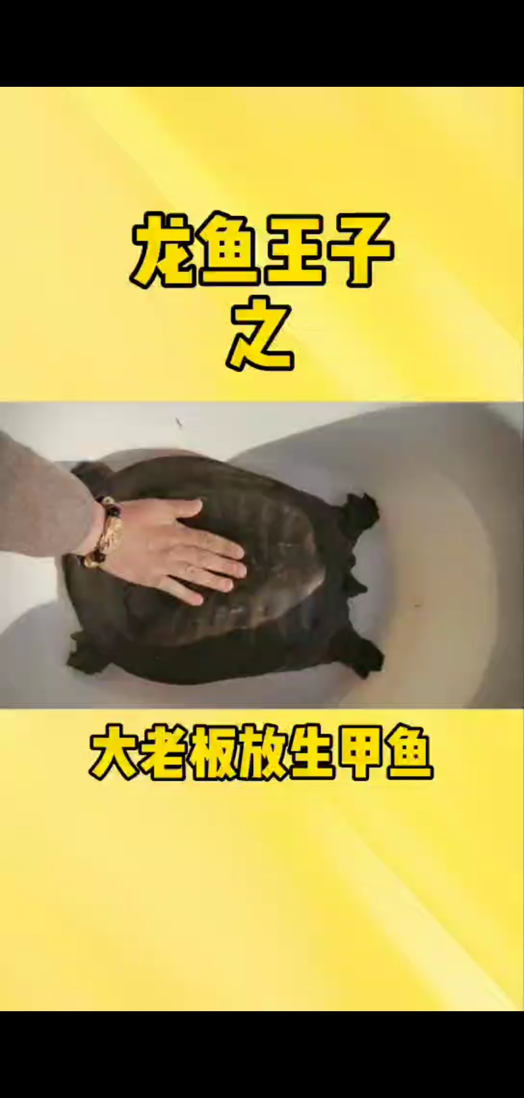 大老板放生十七八斤野生甲鱼,放入长江后它回头看了一眼,天空还出现了甲鱼形状的云!
