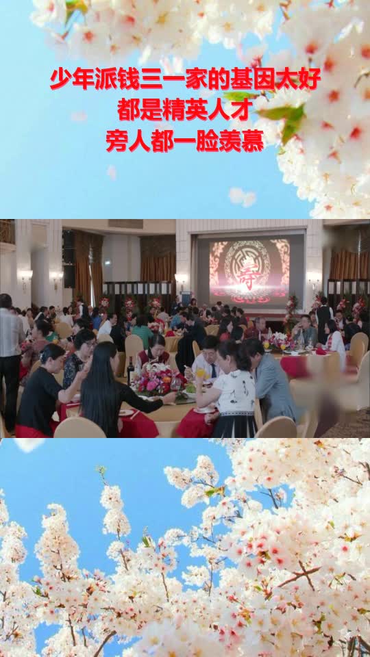 少年派钱三一家的基因太好,都是精英人才,旁人都一脸羡慕