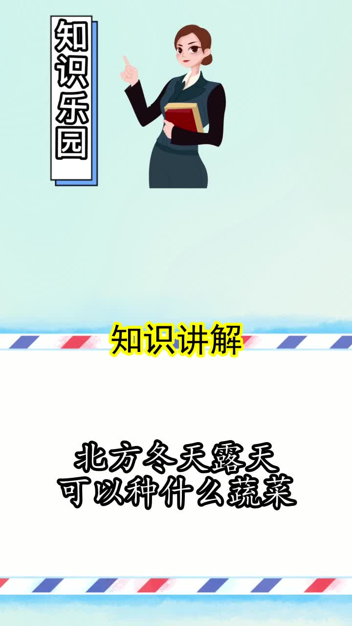 北方冬天露天可以种什么蔬菜,你清楚了吗