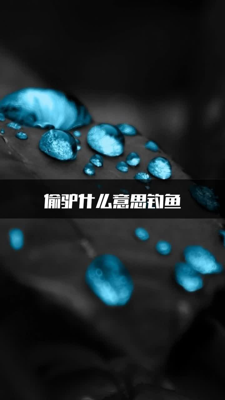 偷驴什么意思钓鱼