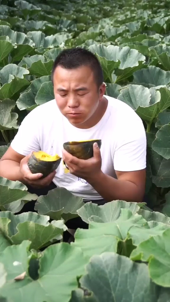 #夏天就要吃水果#这才是水果疏菜