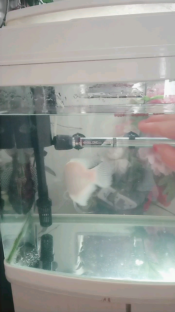 分享视频