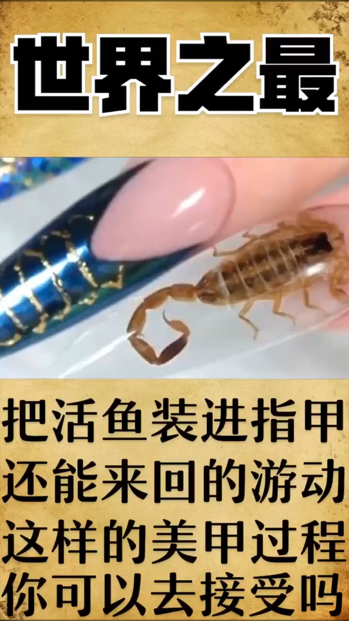 不接受奇闻趣事世界之最世界奇闻趣事