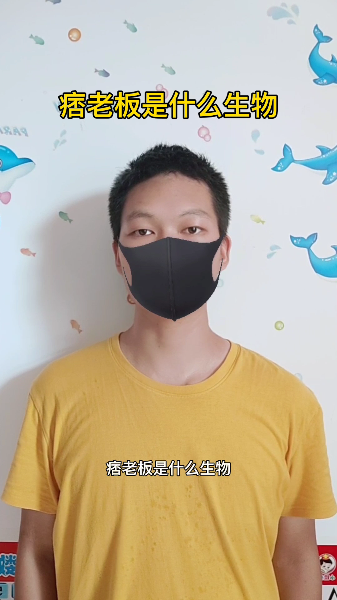 痞老板是什么生物。