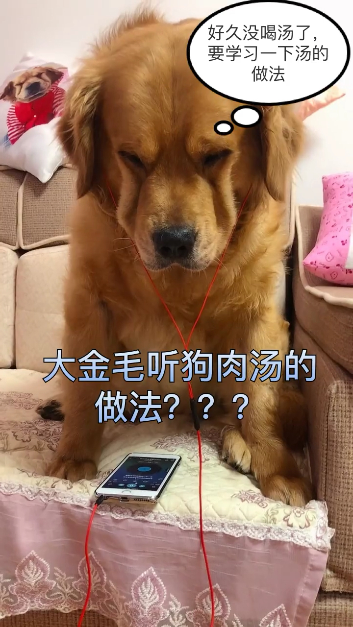 狗肉汤???