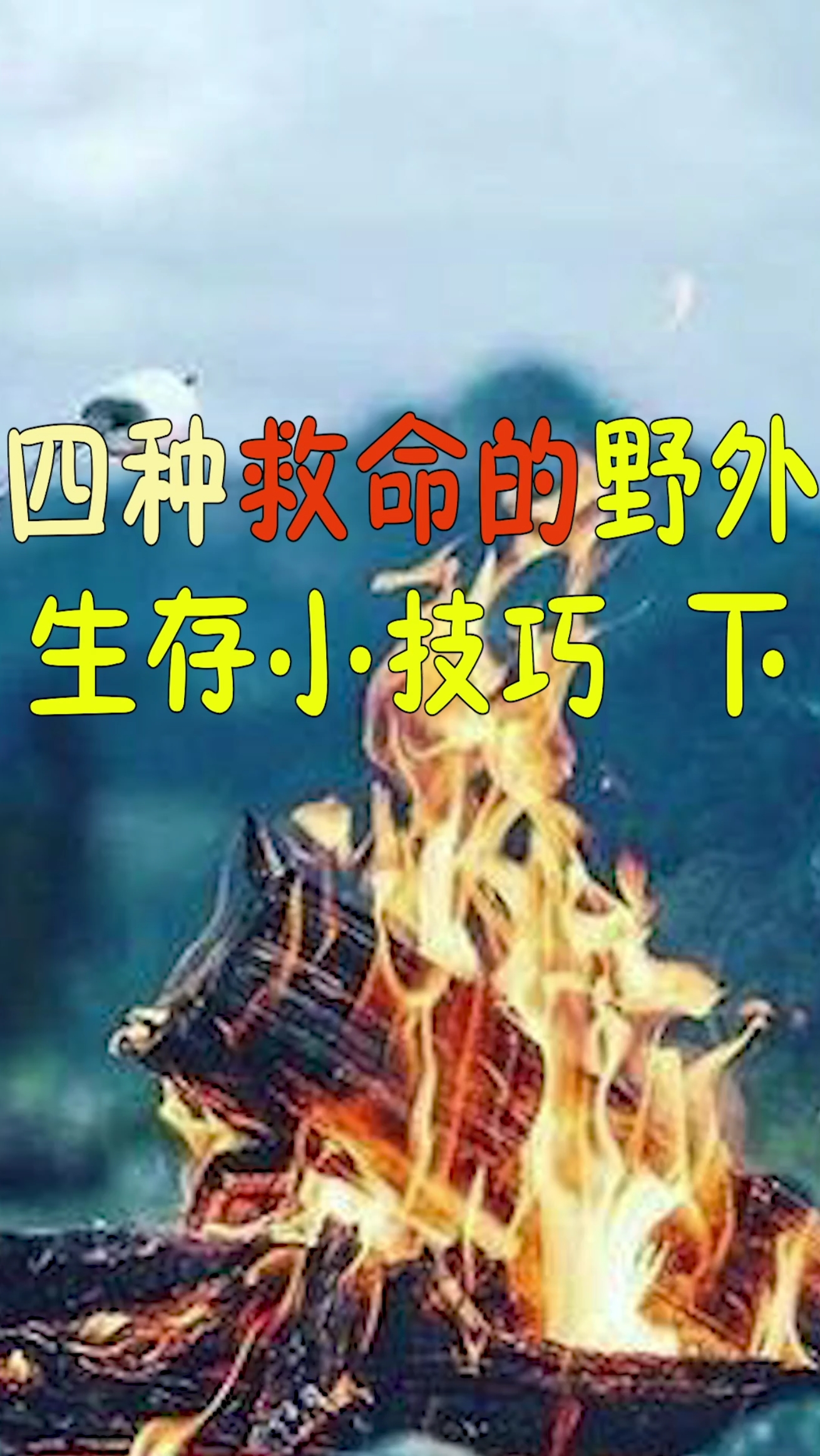 #野外生存技能#四种救命的野外生存小技巧下