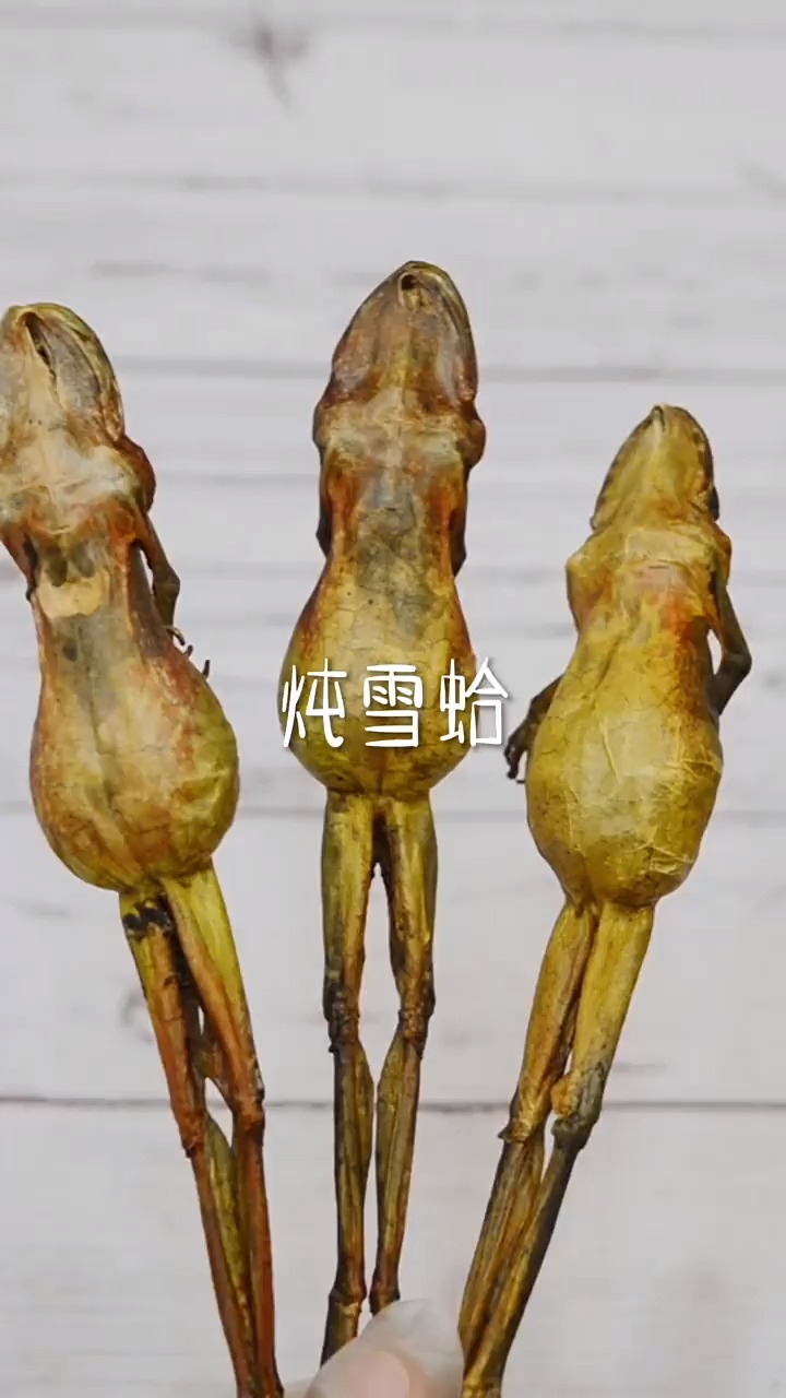 #健康养生#我终于对雪蛤下手了,以后对自己好点哈哈哈