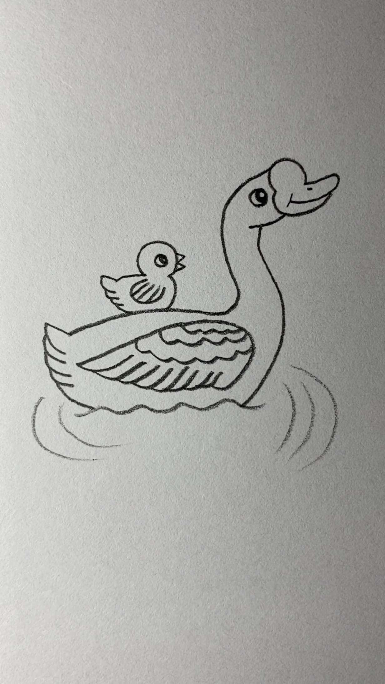 画背着鹅宝宝的鹅妈妈