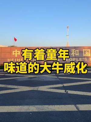 童年的味道都有什么?#威化#饼干#零食#办公室零食 +  #进口食品