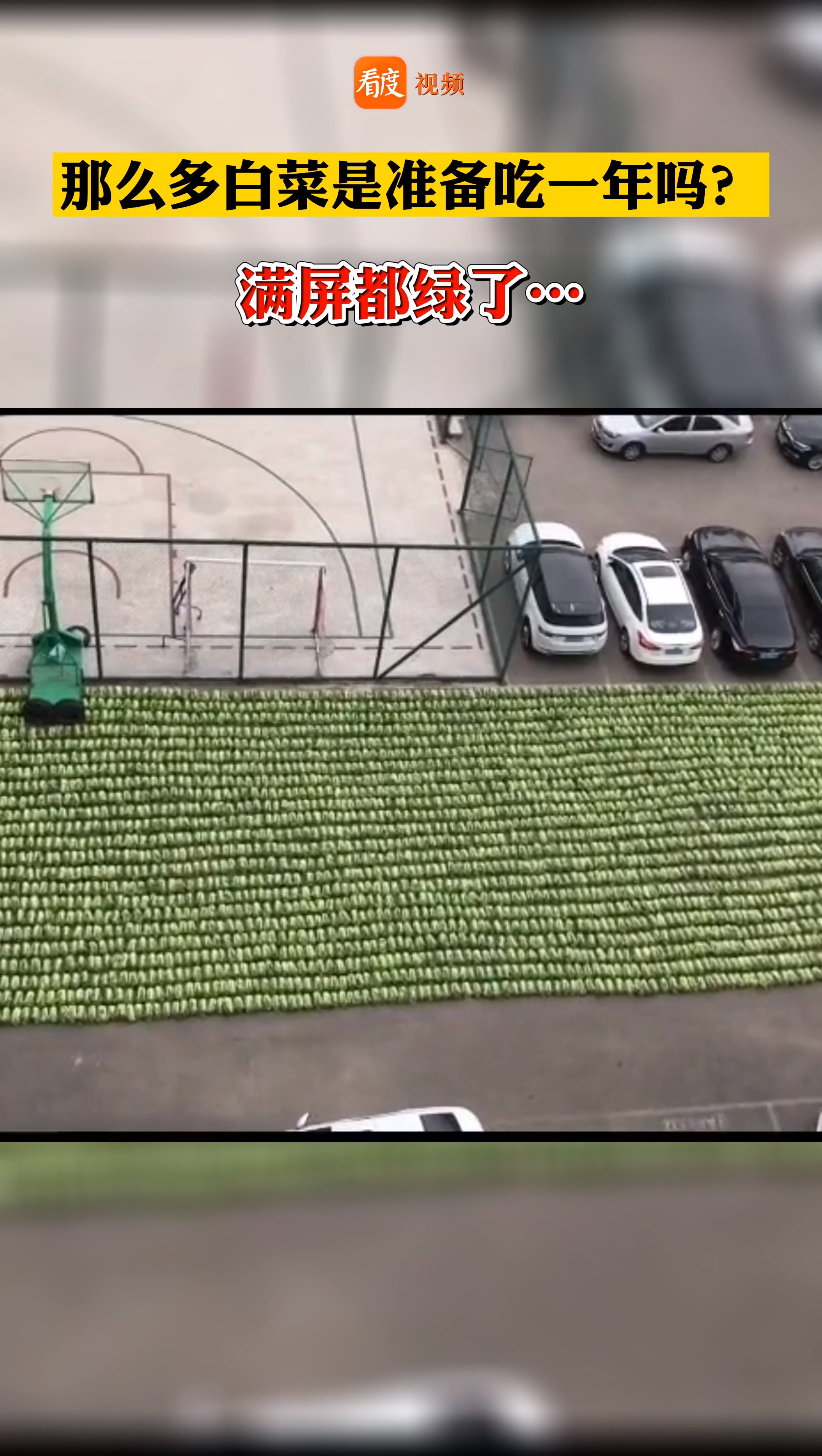 #南方人不懂北方人系列!#东北腌白菜现场像坦克大战停车场被密密麻麻整整齐齐摆满