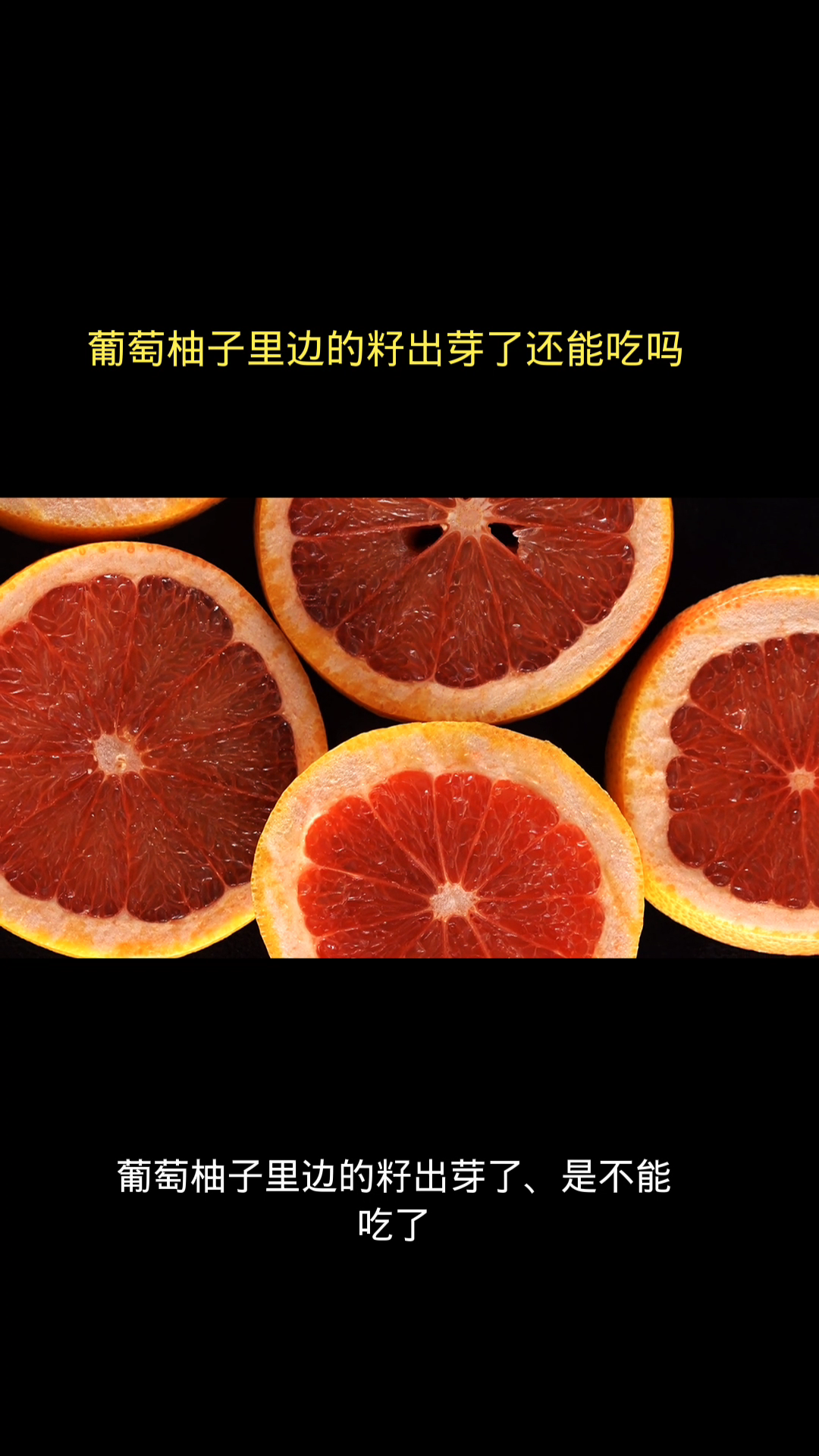 葡萄柚子里边的籽出芽了还能吃吗