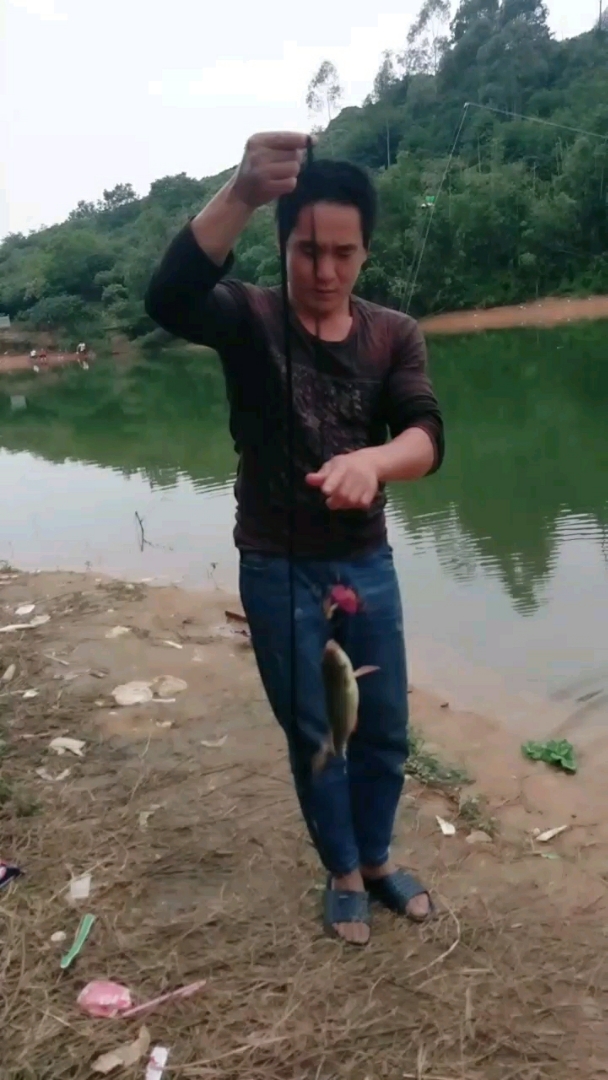 #最爱之城#无杆钓鱼中泰鲮