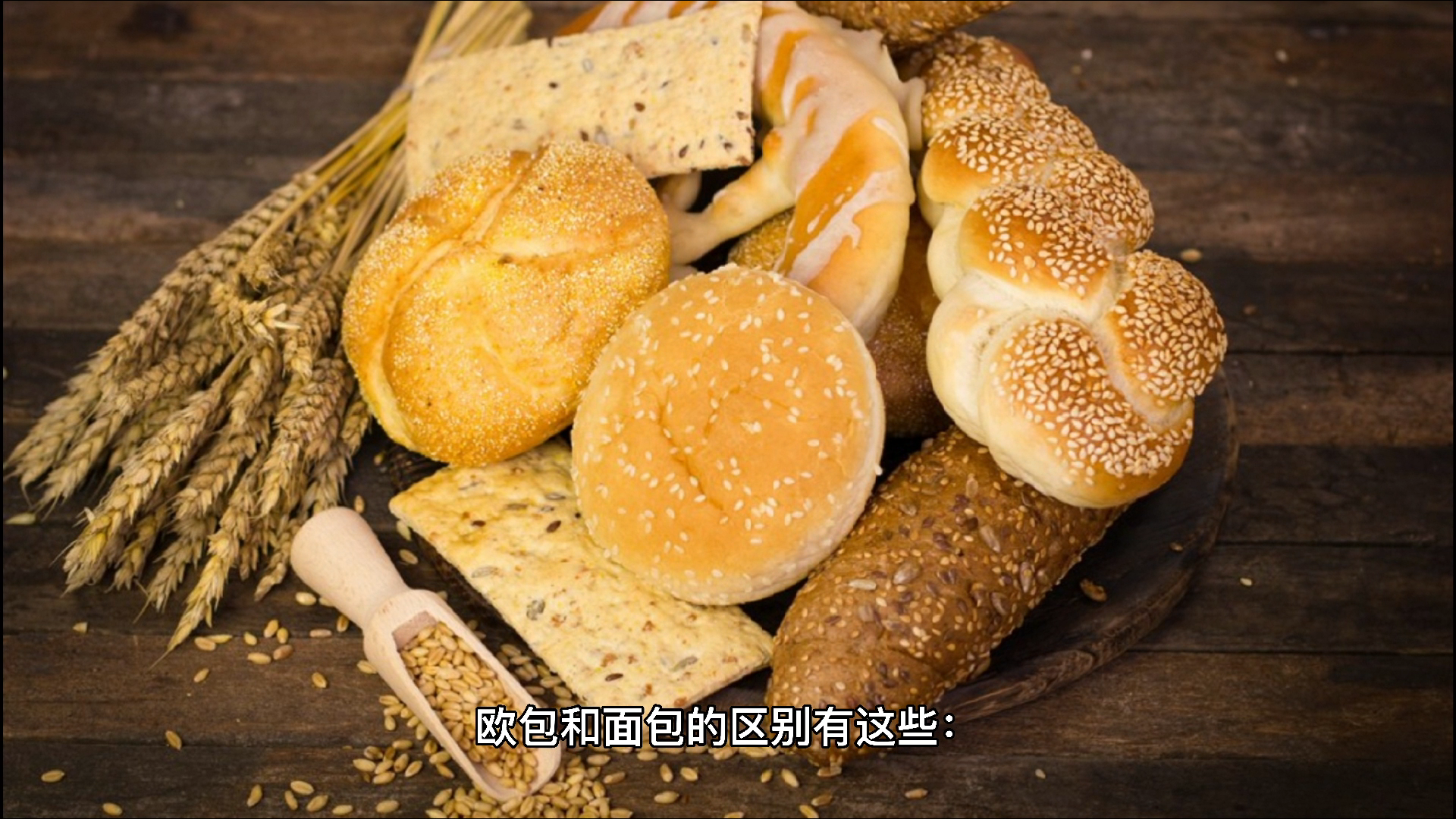 欧包和面包的区别有哪些