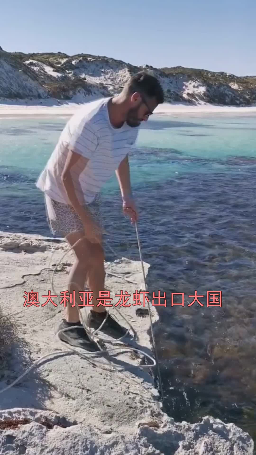 澳大利亚人大喊,中国人必须要买我们的龙虾,你如何评价