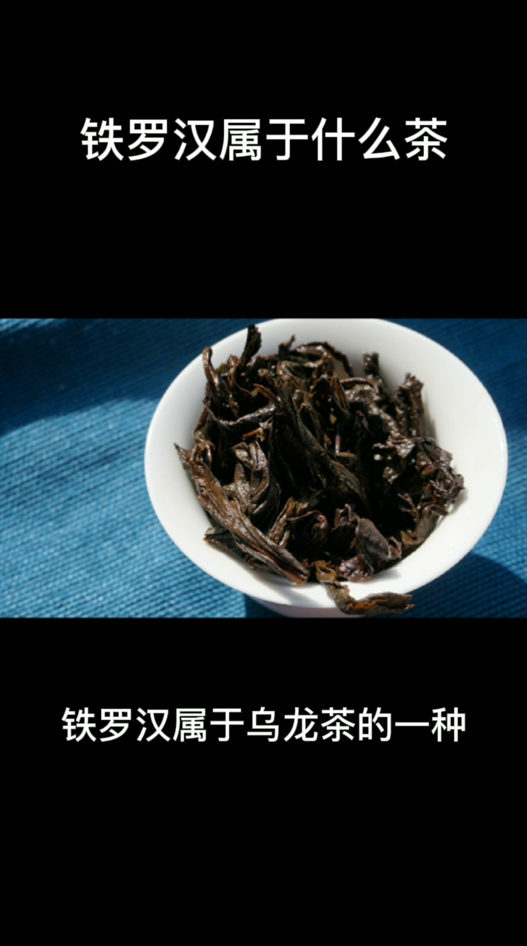 铁罗汉属于什么茶
