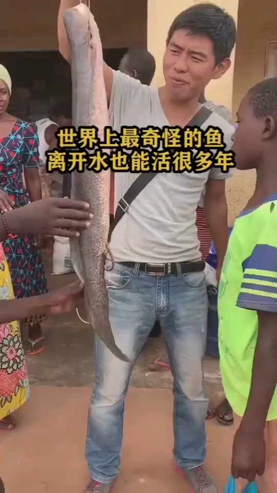 世界上最奇怪的鱼,离开水也能活很多年