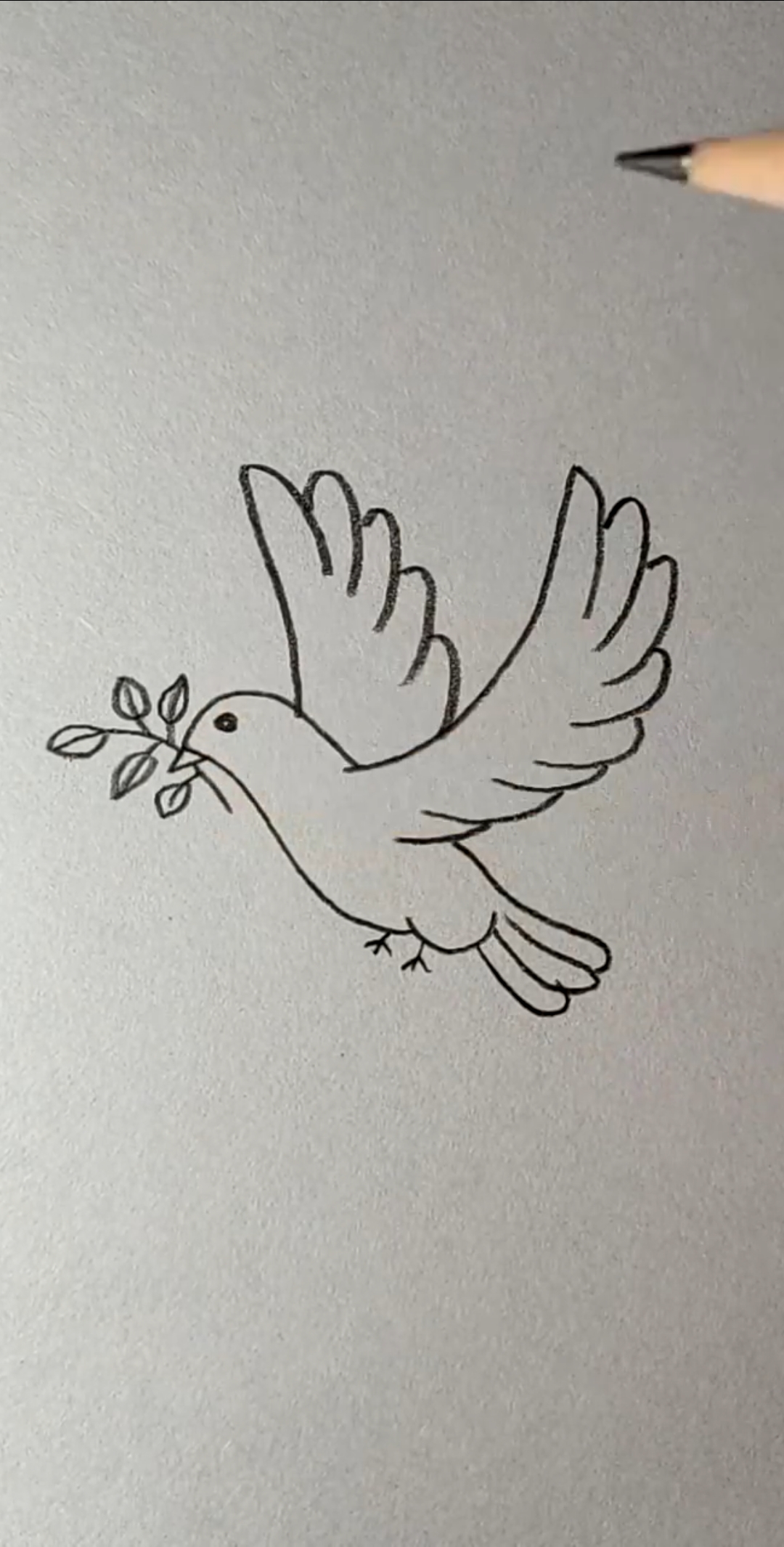 #简笔画#跟着我画飞鸟,不难!