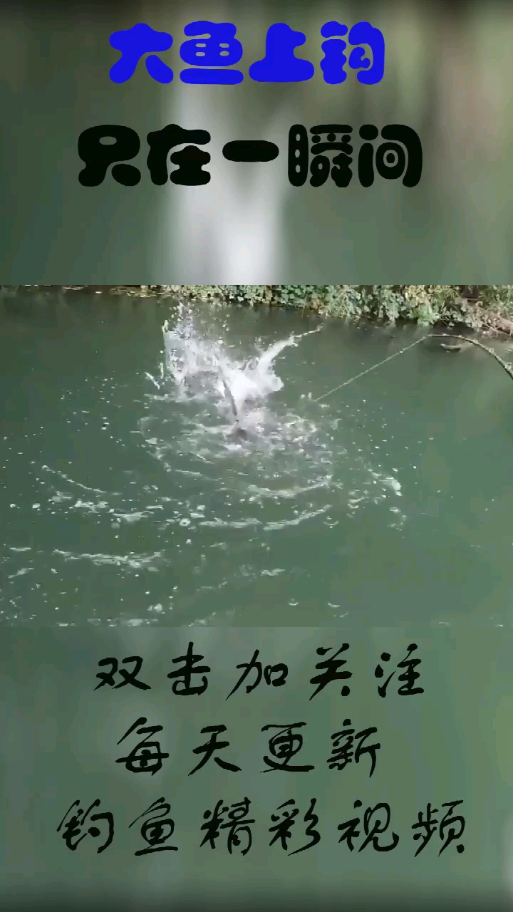 大鱼上钩只在一瞬间。
