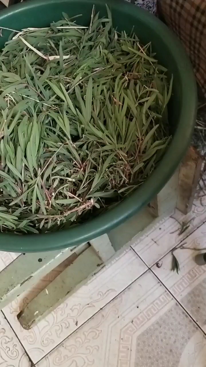 野菜真多