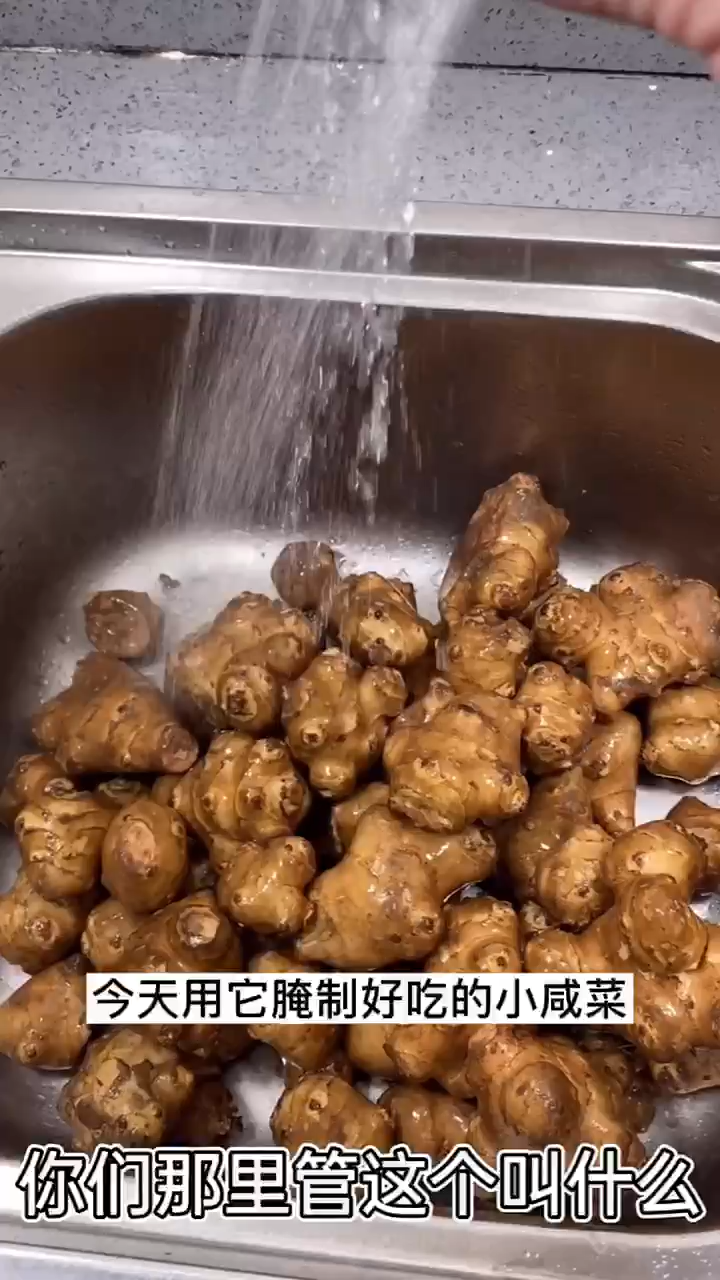 鬼子姜咸菜的腌制方法