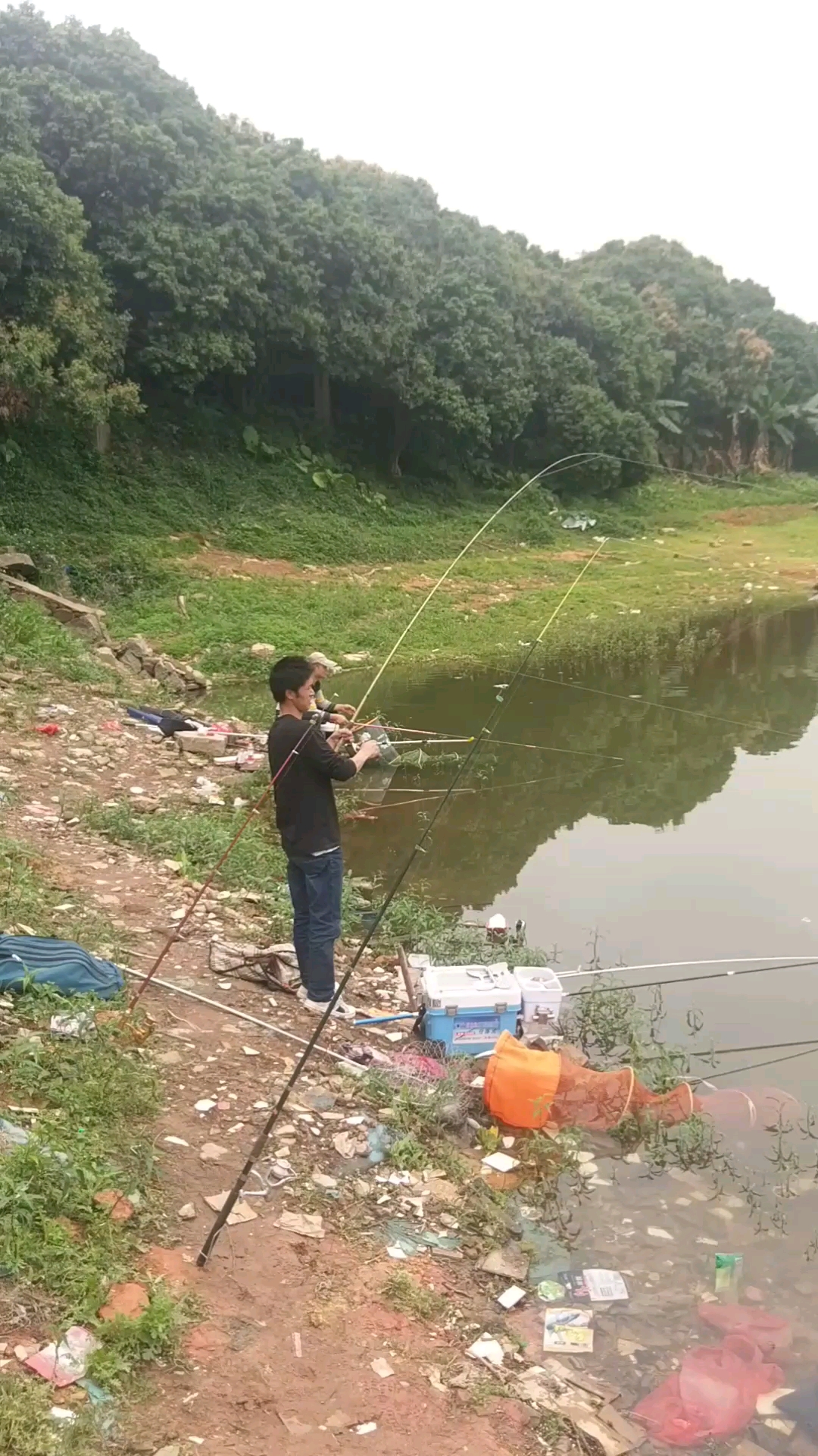 小大头鱼