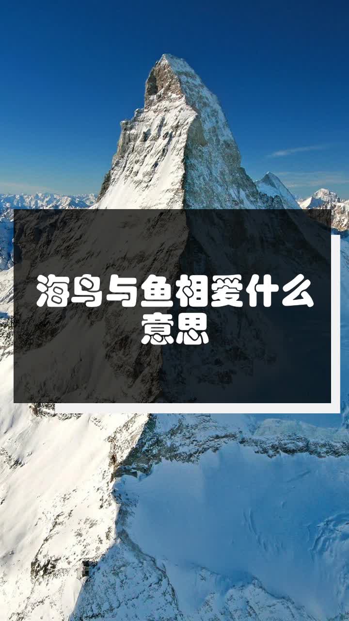 海鸟与鱼相爱什么意思