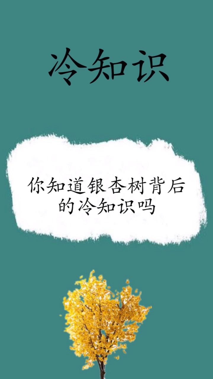 银杏树背后的冷知识吗