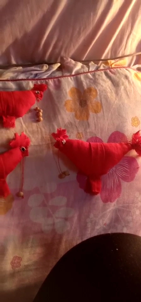 好看吗给孩子缝的小春鸡