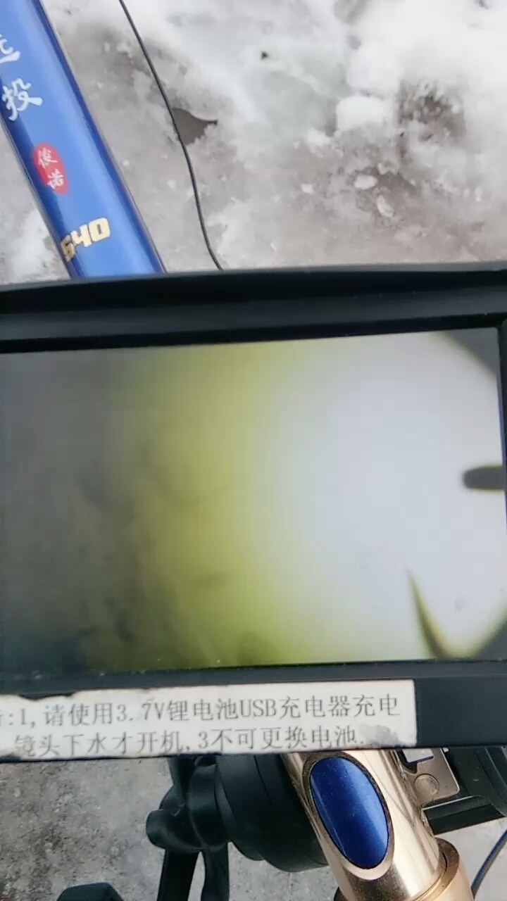 可视锚鱼