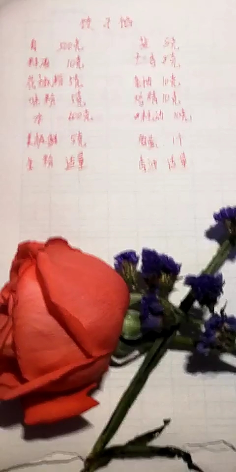 东北饺子馅 做法哦哦哦