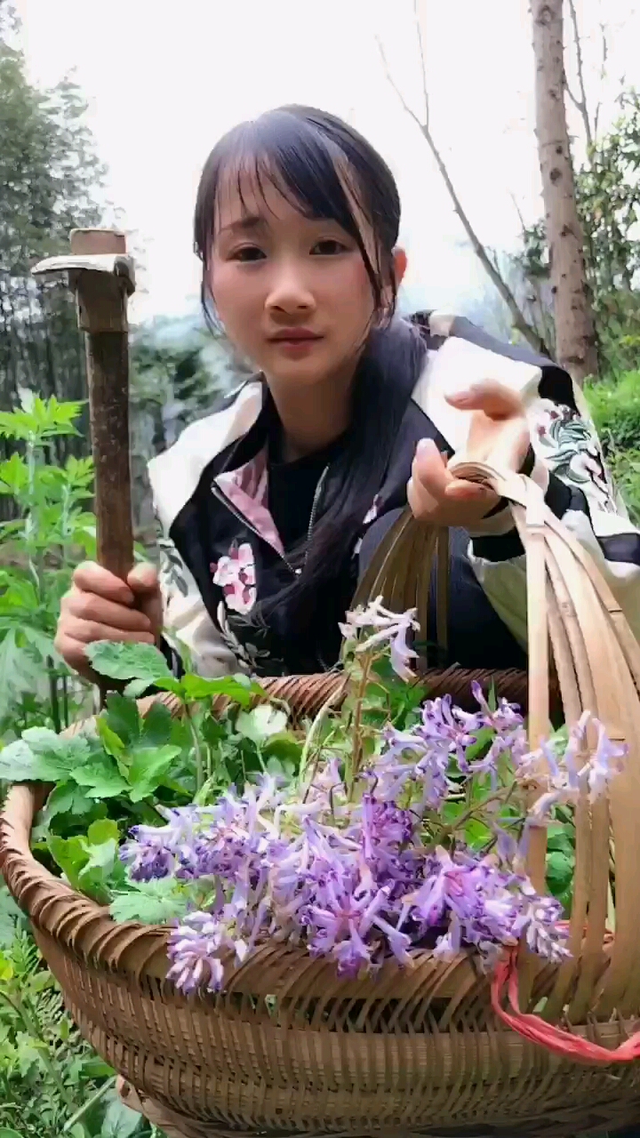 有谁认识这个野菜算你厉害