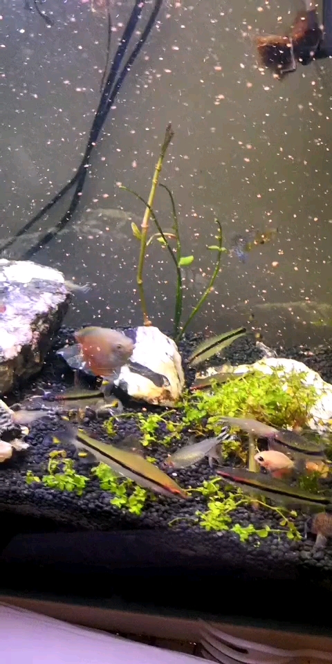 分享视频