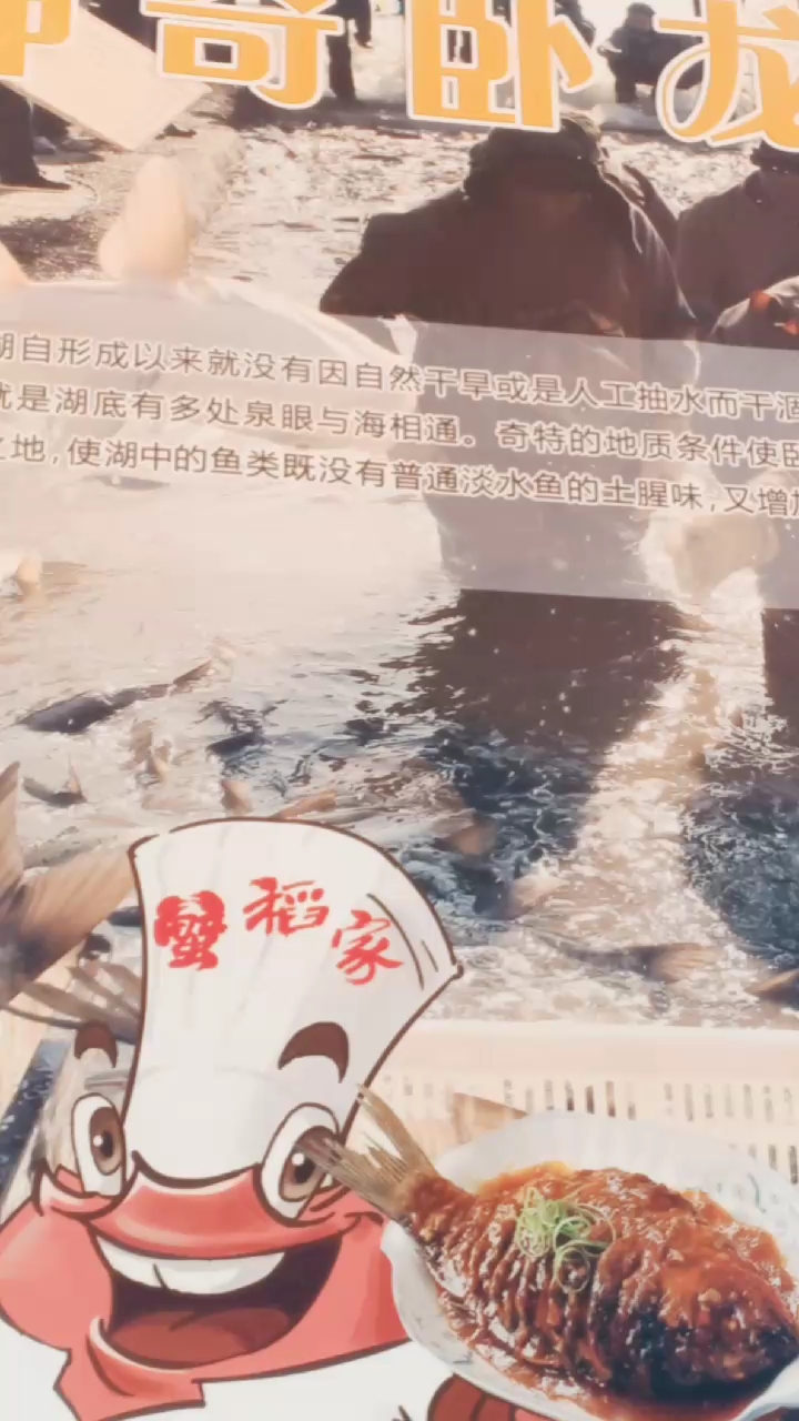 神奇的卧龙湖鱼的美味佳肴